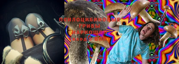 прущие крисы Балахна