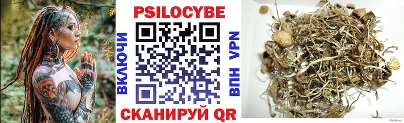 Псилоцибиновые грибы Cubensis Ивдель